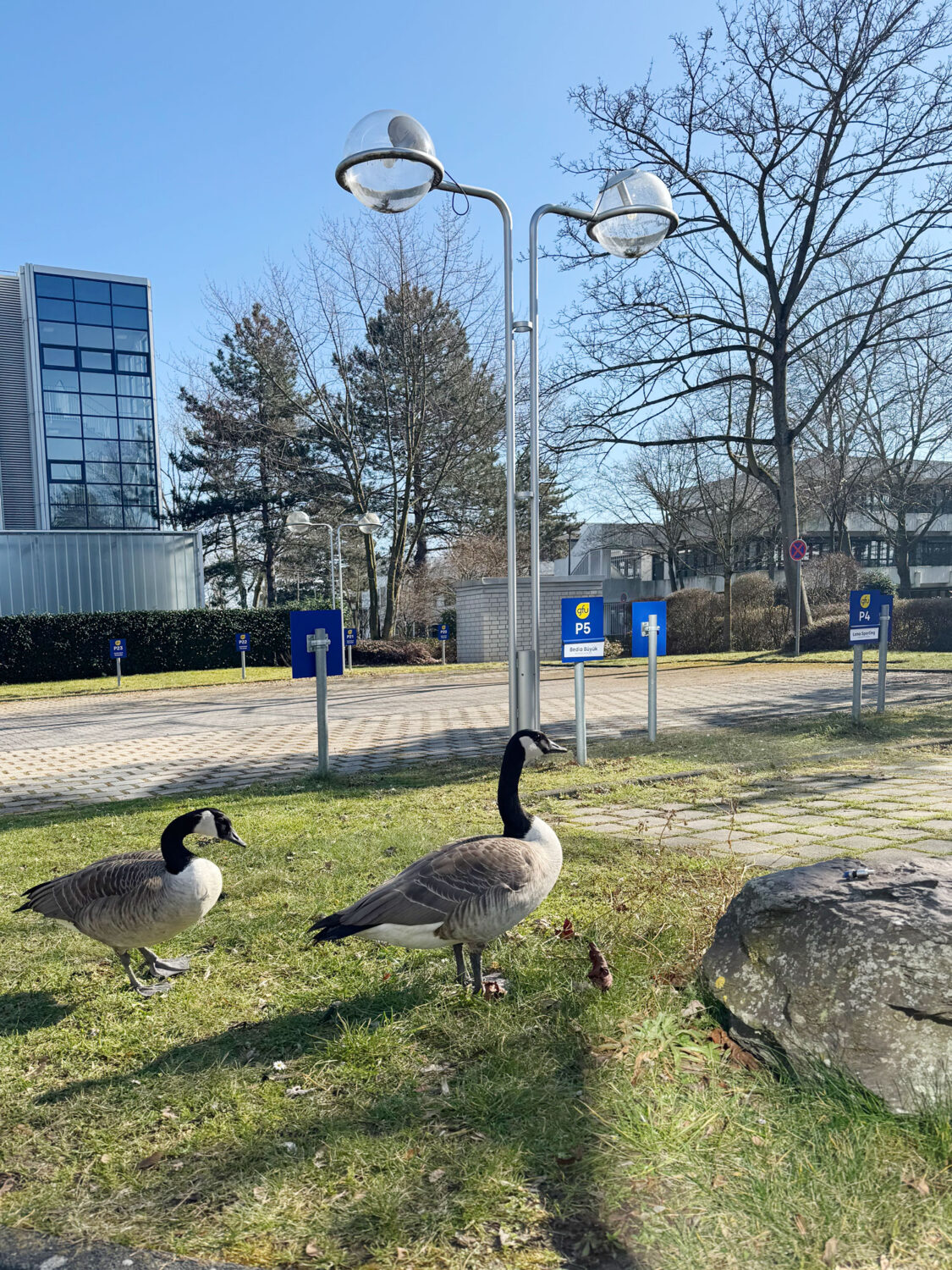 Eva Plass: <strong>GFU Cyrus AG Seminarzentrum Köln</strong><br> – Signaletik